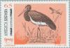 Colnect-178-953-Black-Stork-Ciconia-nigra.jpg