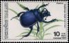 Colnect-2754-548-Purple-Horn-Scarab-Anoplotrupes-sharpi.jpg