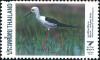 Colnect-3414-606-Black-winged-Stilt-Himantopus-himantopus.jpg