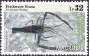 Colnect-3742-064-Freshwater-Shrimp-Macrobrachium-lar.jpg