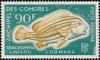 Colnect-791-271-Diagonal-banded-Sweetlips-Diagramma-lineatus.jpg