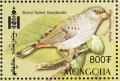 Colnect-1290-203-Band-tailed-Seedeater-Catamenia-analis.jpg