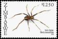 Colnect-5404-860-Violin-Spider-Loxoscelis-sp-.jpg