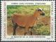 Colnect-1750-030-Domestic-Sheep-Ovis-ammon-aries.jpg