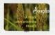 Colnect-4358-388-Sorgho-Sorghum.jpg