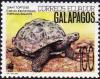 Colnect-1724-472-Galapagos-Giant-Tortoise-Testudo-elephantopus.jpg