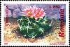 Colnect-4781-754-Thelocactus-sp.jpg