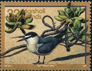 Colnect-2973-349-Spectacled-Tern-Onychoprion-lunatus.jpg