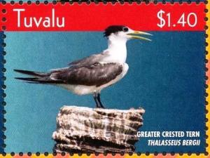Colnect-4021-378-Greater-Crested-Tern%C2%A0%C2%A0%C2%A0%C2%A0Thalasseus-bergii.jpg