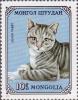 Colnect-905-857-British-Silver-Tabby-Felis-silvestris-catus.jpg