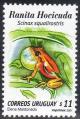 Colnect-1391-402-Striped-Snouted-Tree-frog-Scinax-squalirostris.jpg