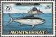 Colnect-4580-651-Blackfin-Tuna-Thunnus-atlanticus.jpg