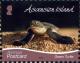 Colnect-6271-218-Green-Turtle-2019-Imprint.jpg