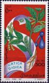 Colnect-4311-975-Urtica-dioica.jpg