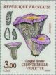 Colnect-145-772-Chanterelle-violette-Gomphus-Clavatus.jpg