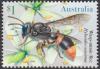 Colnect-6286-500-Wasp-Mimic-Bee.jpg