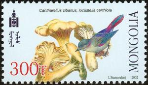 Colnect-1290-183-Pallas--s-Grasshopper-Warbler-Locustella-certhiola-Chanter.jpg