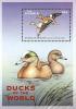 Colnect-1721-786-American-Wigeon%C2%A0Anas-americana.jpg