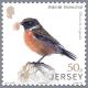 Colnect-5183-062-Links-with-China--Birdlife.jpg