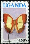 Colnect-1907-221-Becker-s-Creamy-Yellow-Glider-Cymothoe-beckeri.jpg