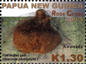 Colnect-2061-057-Five-Leaflet-Yam-Dioscorea-pentaphylla-L.jpg