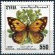 Colnect-2194-770-Clouded-Yellow-Colias-croceus.jpg