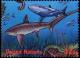 Colnect-2567-620-Int-Year-of-the-Ocean.jpg
