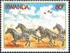 Colnect-2620-435-Plains-Zebra-Equus-burchelli.jpg