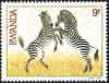 Colnect-2631-967-Plains-Zebra-Equus-burchelli.jpg
