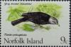 Colnect-486-823-Grey-headed-Blackbird--Turdus-poliocephalus-poliocephalus.jpg