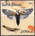 Colnect-6506-047-Zeuzera-pyrima.jpg