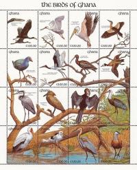 Colnect-1458-545-Birds-of-Ghana---Mini-Sheet-with-MiNo-1578-93.jpg
