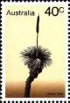 Colnect-476-983-Grass-Tree---Xanthorrhoea-australis.jpg
